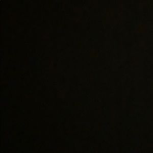 Meet your Posher, Bruce